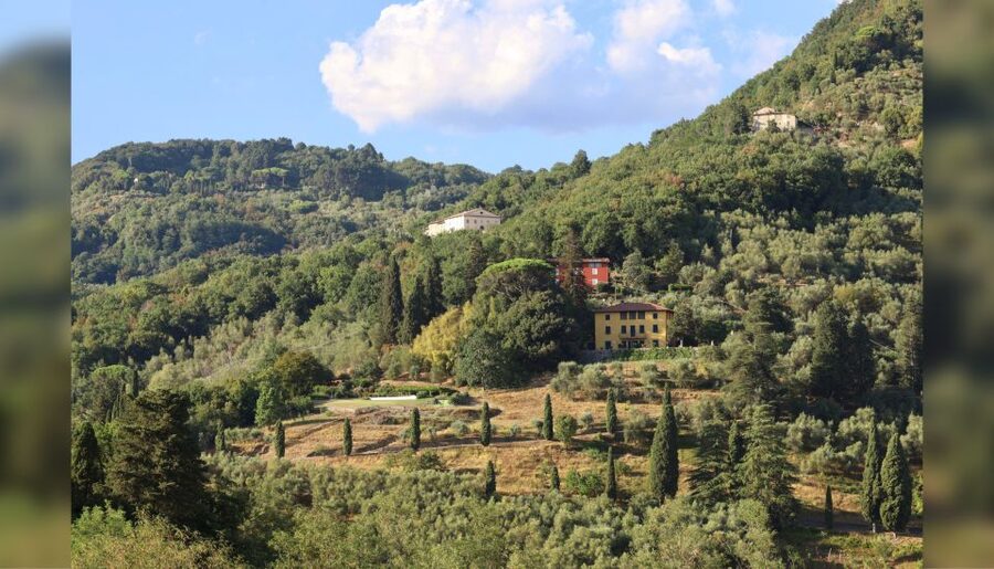 Lucca: Guided Winery Tour with Wine Tasting - The People Factor: English Hosts and Friendly Service
