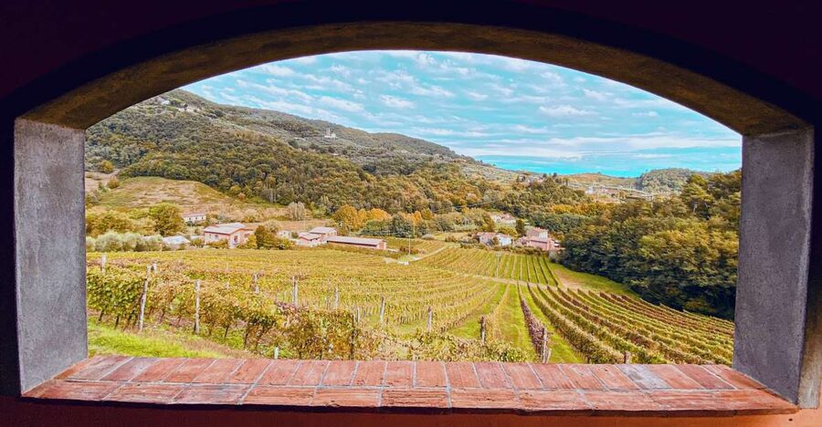 Lucca: Guided Winery Tour with Wine Tasting - Food Pairing Without Overthinking It