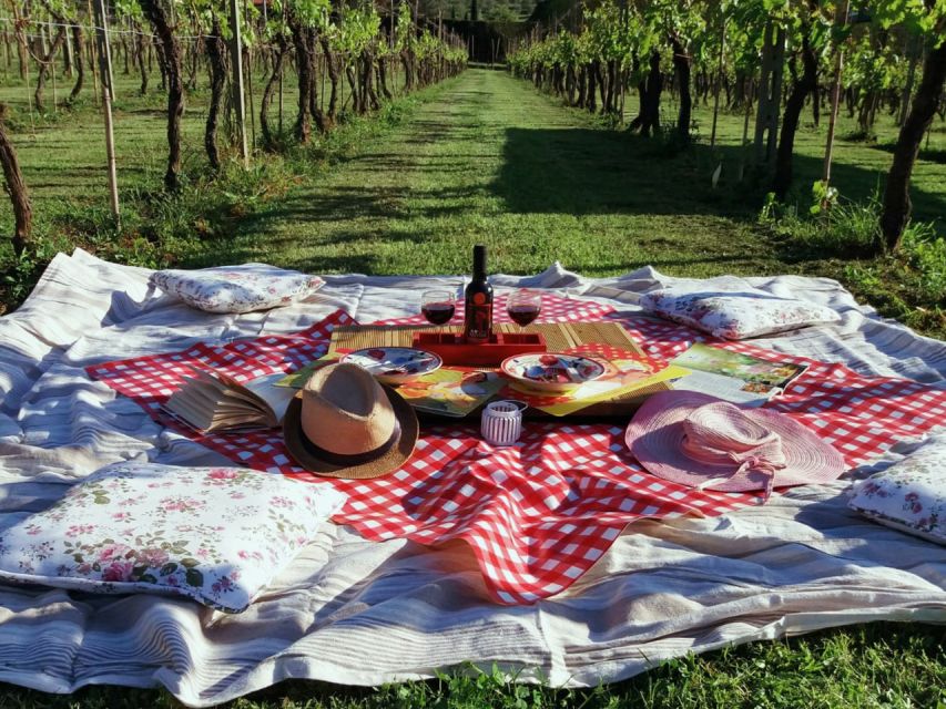 Lucca: Picnic Lunch at a Vineyard by Bike - Lucca by Bike, Vineyard Picnic by Design
