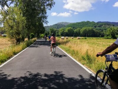 Lucca: Picnic Lunch at a Vineyard by Bike - Your Ride Setup: E-Bike or Trekking Bike for Two Types of Effort