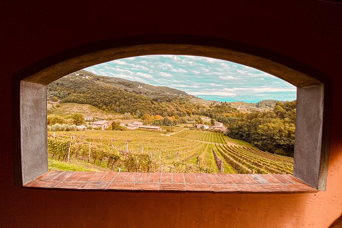 Lucca: Wine Tasting Experience - Tenuta Adamo Winery - Tenuta Adamo in the Lucca Hills: what you really get for $24.20