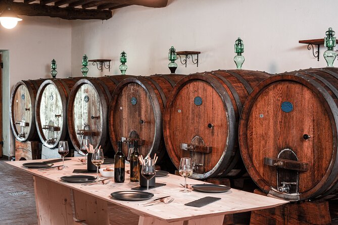 Lucca: Wine Tasting Experience - Tenuta Adamo Winery - Arrival and logistics from Lucca: getting to Via per Camaiore