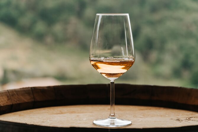 Lucca: Wine Tasting Experience - Tenuta Adamo Winery - Extras you might want: upgrades, lunch, and buying bottles