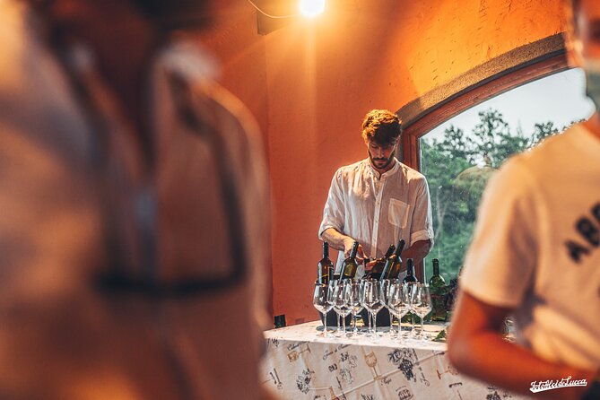 Lucca: Wine Tasting Experience - Tenuta Adamo Winery - Who should book this Lucca wine tasting (and who should not)