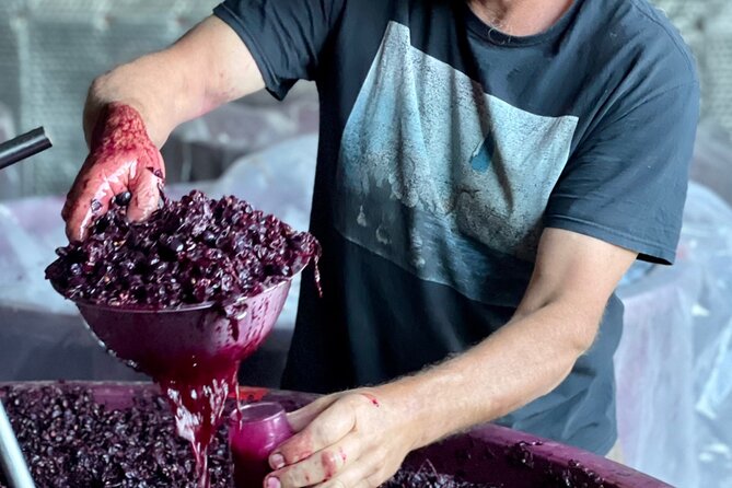 Luke's McLaren Vale Wine Tour - Cost and value: what $89.66 covers, and what to budget next