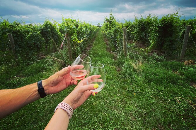 Lunch in the Vineyard: A Scenic Niagara Wine Tour Experience - Konzelmann Estate on Lake Ontario: Cool-Climate Wines and Fun Pairings