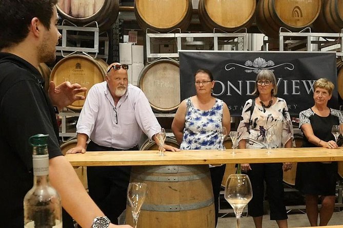 Lunch in the Vineyard: A Scenic Niagara Wine Tour Experience - What the Guide and the Small Group Change on This Tour