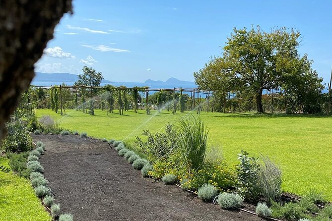 Lunch & Wine Tasting in the National Park of Mt Vesuvius - Why a Mt Vesuvius Lunch and Wine Tasting Is Worth Your Afternoon