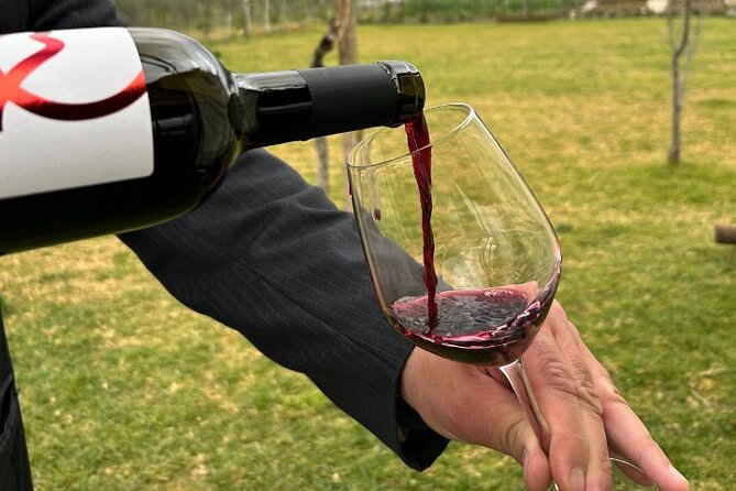 Lunch & Wine Tasting in the National Park of Mt Vesuvius - How This Fits Into a Pompeii Day Plan