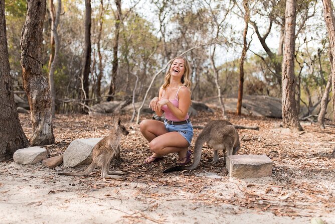 Luxury Hunter Valley Wildlife & Wine Tasting Tour from Sydney - Boutique Wine Tastings: What Two Vineyards Really Adds to Your Day