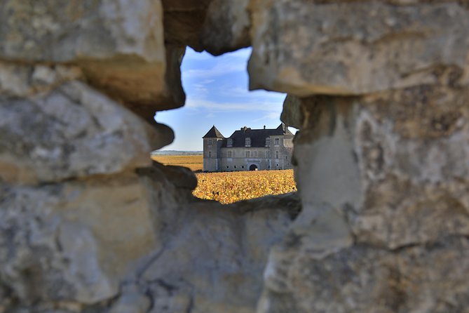 Luxury Luxury Wine Tour Experience - Pickup, timing, and the “private” advantage