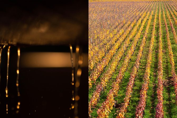 Luxury Luxury Wine Tour Experience - Grand Cru and Premier Cru tastings: more than a flex