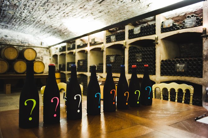 Luxury Luxury Wine Tour Experience - Buying wine without pressure—and getting it home