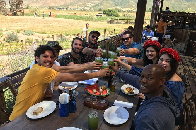 Luxury Private Wine Tasting Tour to Guadalupe Valley from San Diego - Key highlights before you book