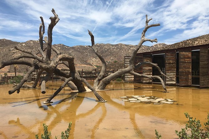 Luxury Private Wine Tasting Tour to Guadalupe Valley from San Diego - Price and value: what $269 buys you (and why it can still make sense)