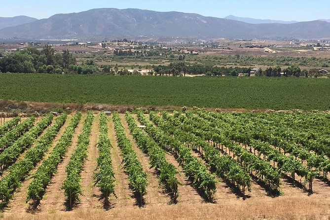 Luxury Private Wine Tasting Tour to Guadalupe Valley from San Diego - The quick stop at El Mirador: views, bathrooms, and Mexican candy time
