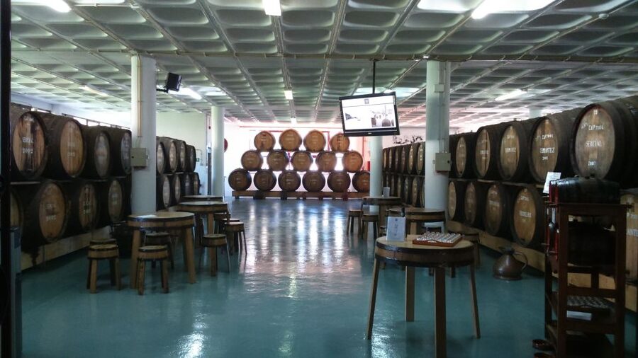 Madeira: Cabo Girao, Jeep Tour Adventure and Wine Tasting - Price and Value: What You Get for About $57