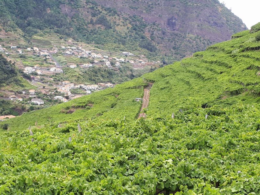 Madeira: Cabo Girão, Wine Tasting, & Serra d'Água Jeep Tour - Funchal pickup to Cabo Girão: the day starts with height