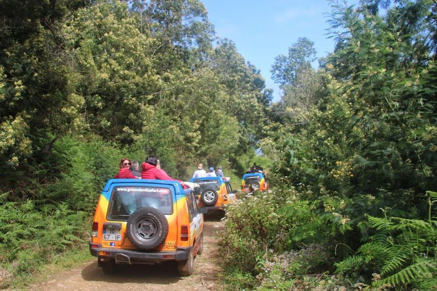 Madeira: Wine & Tapas, Cabo Girão Skywalk 4x4 Jeep Adventure - Comfort, safety, and who should book (or skip)