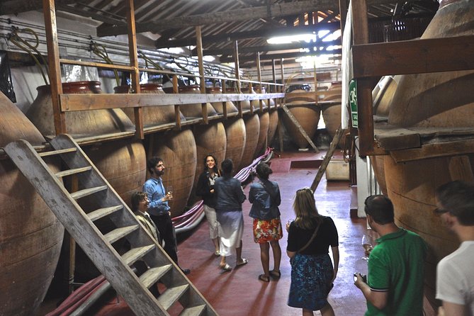 Madrid Countryside Wineries Guided Tour with Wine Tasting - Key things worth knowing before you go