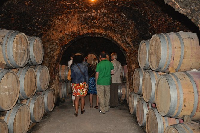 Madrid Countryside Wineries Guided Tour with Wine Tasting - Getting you into the rhythm: what the 6-hour day feels like