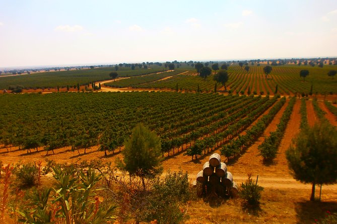 Madrid Countryside Wineries Guided Tour with Wine Tasting - Tastings, snacks, and how to pace more than 10 pours