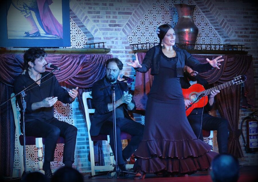 Madrid: Los Porches Flamenco Show with Tapas and Wine Ticket - Price and value: why $53 can feel fair or frustrating