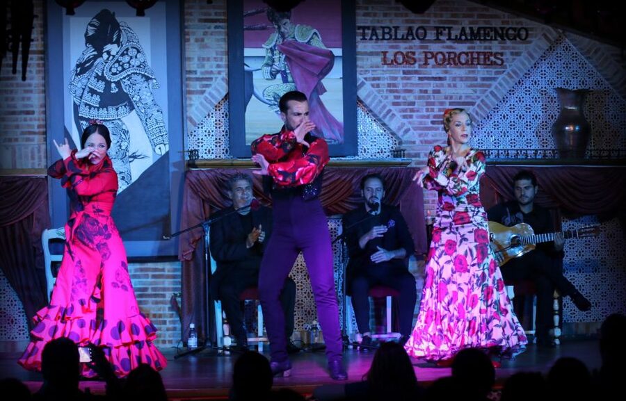 Madrid: Los Porches Flamenco Show with Tapas and Wine Ticket - Should you book Los Porches for flamenco night in Madrid?
