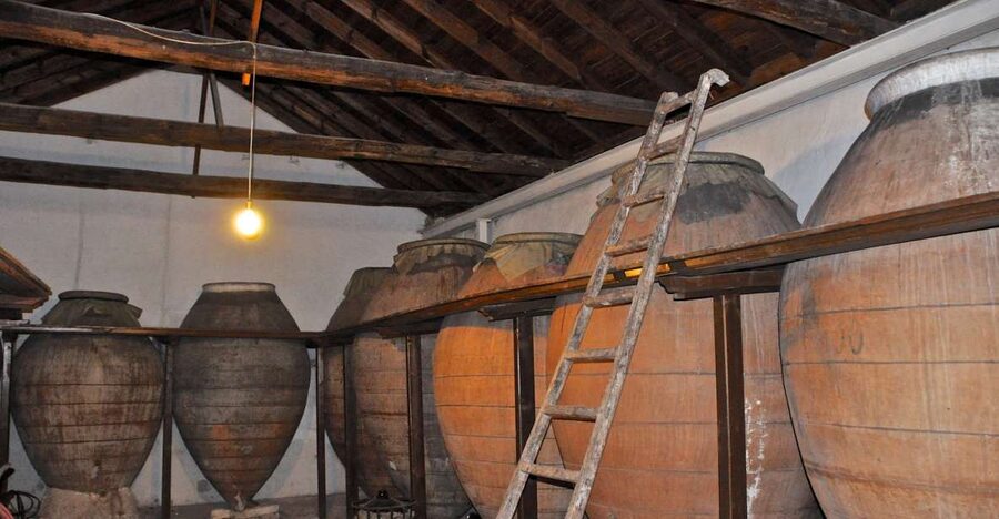 Madrid Region Wineries Guided Tour with Wine Tastings - Chinchón Stop: Medieval Town Atmosphere and Wine Tastings You Can Compare