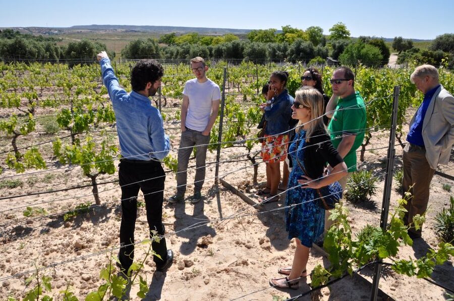 Madrid Region Wineries Guided Tour with Wine Tastings - The Big Picture: Vinos de Madrid Roots, Rivers, and the Winemaker Stories