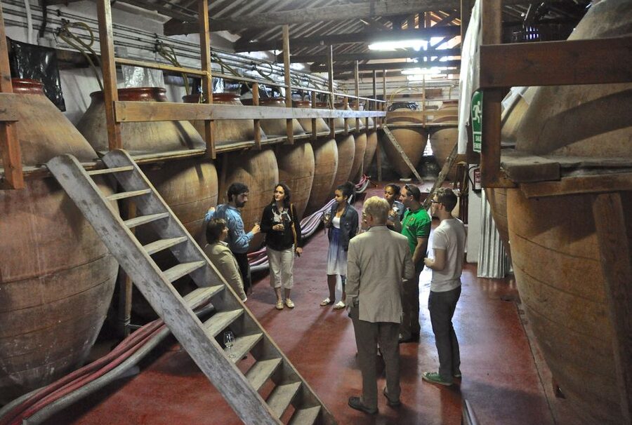 Madrid Region Wineries Guided Tour with Wine Tastings - Who Should Book This Tour (and Who Should Skip It)