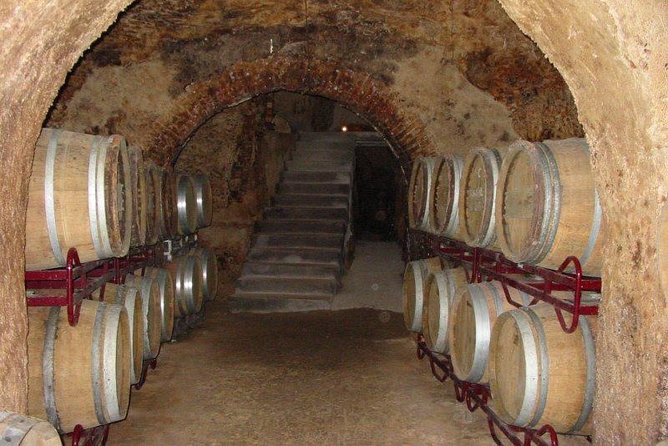 Madrid Wineries Private Tour with Hotel Pickup and Lunch - Two wineries outside Madrid: modern facility vs traditional craft