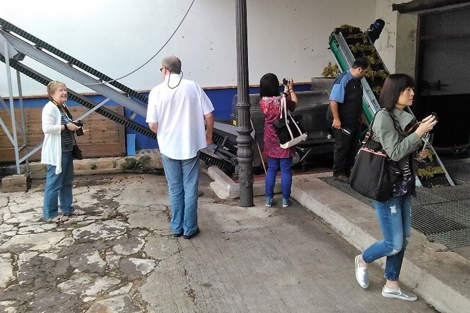 Madrid Wineries Private Tour with Hotel Pickup and Lunch - Tastings that actually teach you something (2–3 wines each stop)