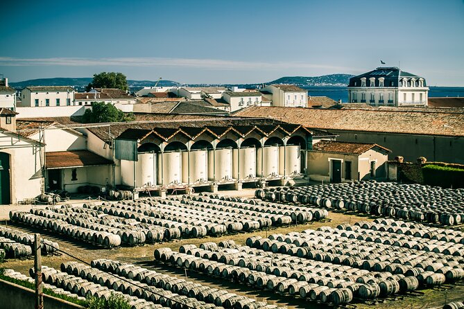 Maison Noilly Prat VIP tour, wine and vermouth tastings - Key things that make this VIP tour worth your time