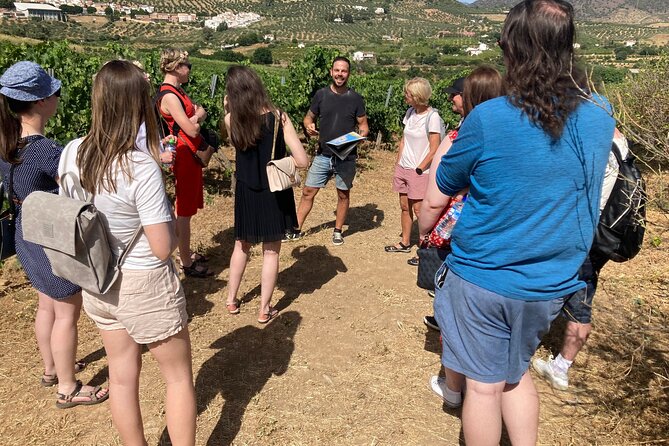 Malaga Organic Vineyard and Winery Six Wines Tapas and Transfer - Key things I’d clock before you book