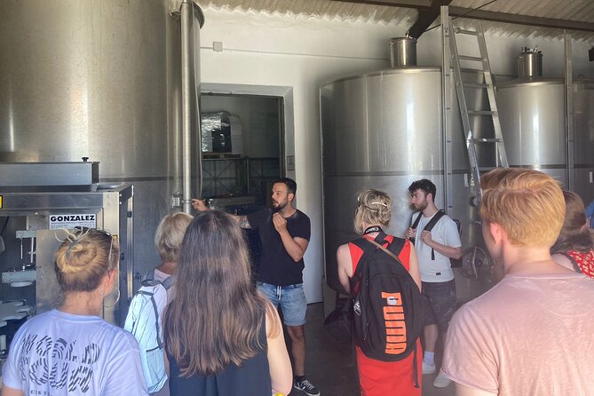 Malaga Organic Vineyard and Winery Six Wines Tapas and Transfer - Why this Malaga wine-tasting day feels different