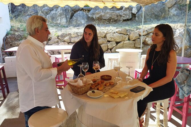 Malaga Organic Vineyard and Winery Six Wines Tapas and Transfer - Price and value: what $114.93 really buys you in Malaga