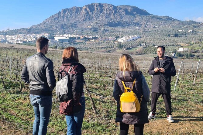 Malaga Organic Vineyard and Winery Six Wines Tapas and Transfer - The pacing: 4 to 5 hours that don’t feel rushed