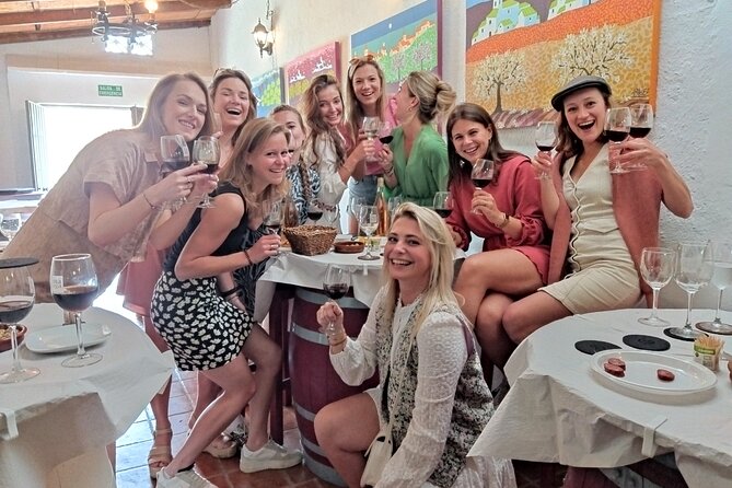 Malaga Organic Vineyard and Winery Six Wines Tapas and Transfer - Who this tour suits best (and who might want a different style)