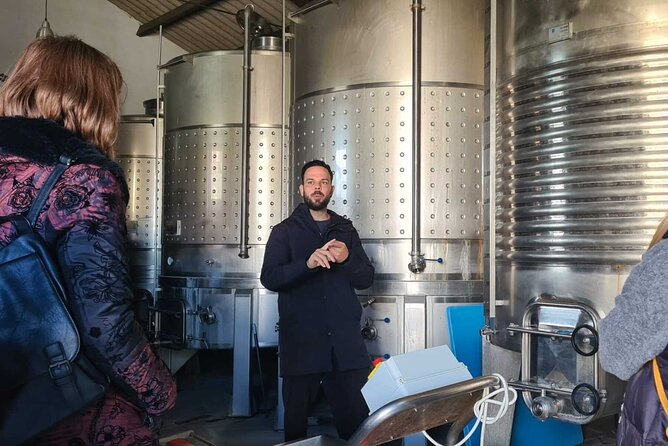 Malaga Organic Vineyard and Winery Six Wines Tapas and Transfer - Practical tips so your day goes smoothly