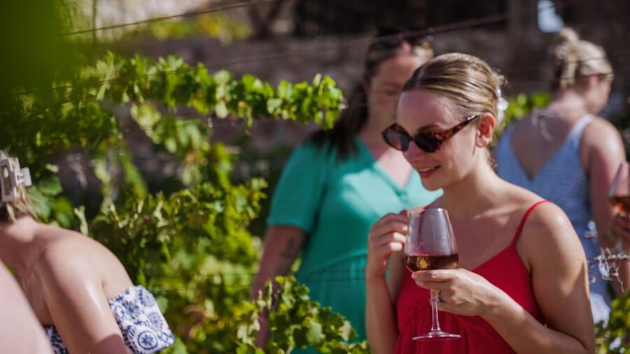 Malaga: Organic Vineyard Tour with 6 Wines, Tapas & Transfer - Key things that make this tour work