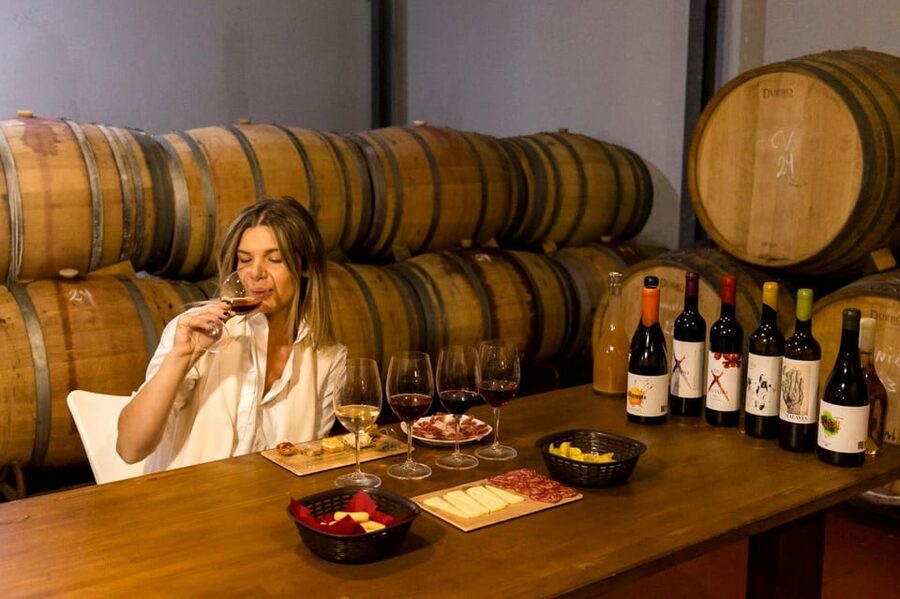 Malaga: Organic Vineyard Tour with 6 Wines, Tapas & Transfer - Getting out of Malaga: the drive that changes the mood fast