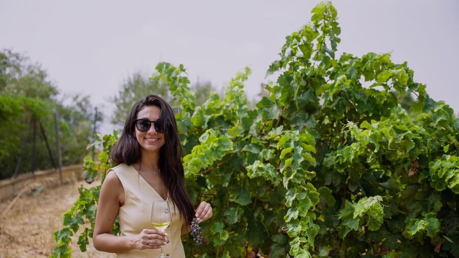 Malaga: Organic Vineyard Tour with 6 Wines, Tapas & Transfer - Inside the garage winery: barrel tasting with the pipette