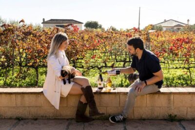 Malaga: Organic Vineyard Tour with 6 Wines, Tapas & Transfer - Viñedo Malvajio: organic vineyards, farm animals, and a slow walk