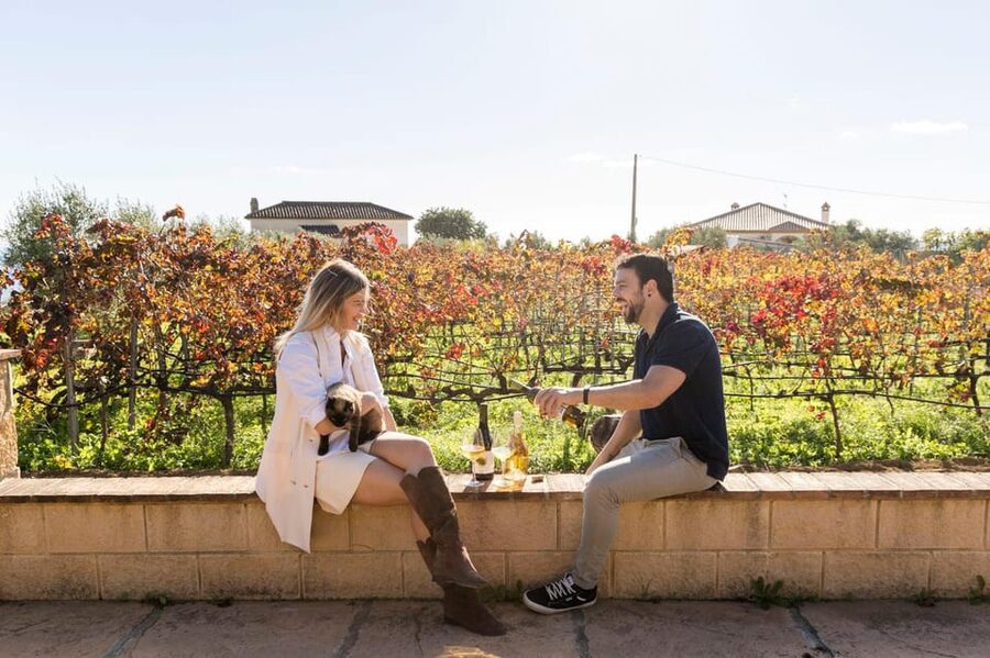 Malaga: Organic Vineyard Tour with 6 Wines, Tapas & Transfer - Tapas pairing that’s actually part of the lesson