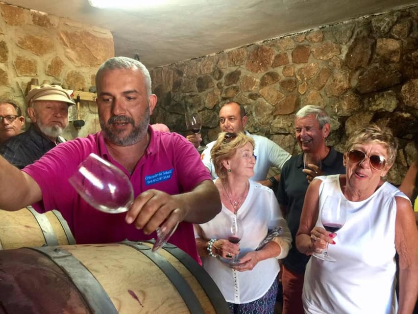 Malaga: Organic Vineyard Tour with 6 Wines, Tapas & Transfer - Price and value: what $112 buys you here