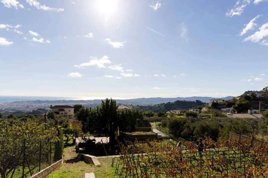 Malaga: Organic Vineyard Tour with 6 Wines, Tapas & Transfer - Tips for your best day in Malaga