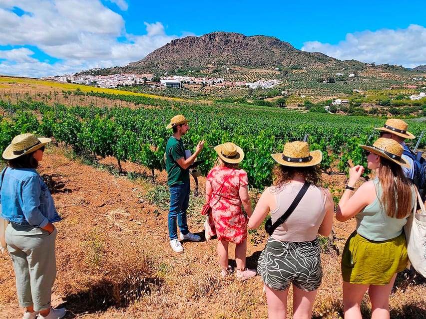 Malaga: White Village, Vineyard, and Wine Tasting Wine Tour - From Malaga to Álora: What This 5-Hour Format Really Delivers