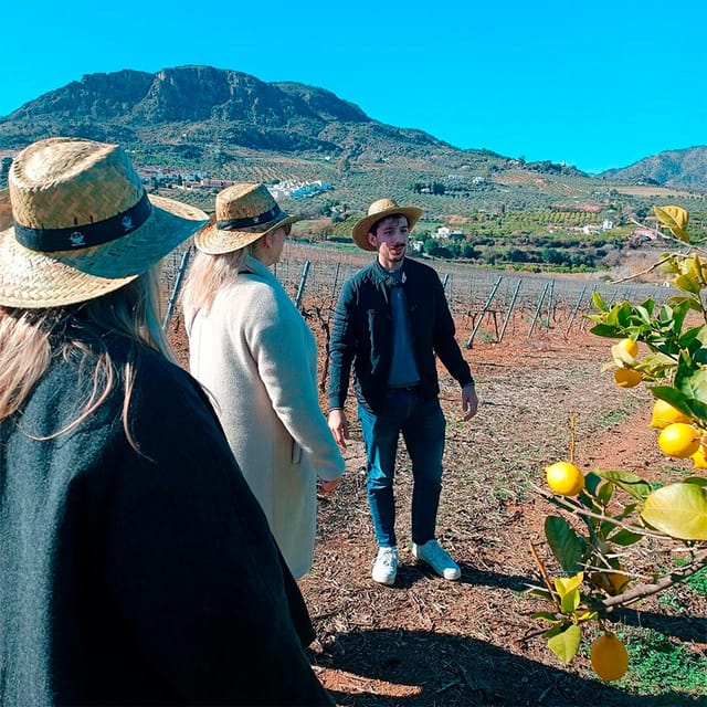 Malaga: White Village, Vineyard, and Wine Tasting Wine Tour - The Photo Stop and the Countryside Views Between Town and Wine
