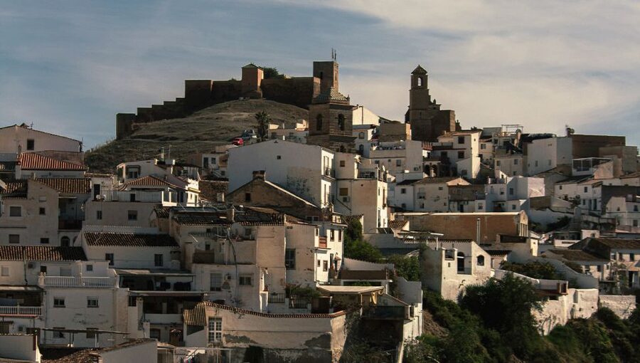 Malaga: White Village, Vineyard, and Wine Tasting Wine Tour - Vineyard Lesson: Grapes, Winemaking, and a Walk You Can Feel
